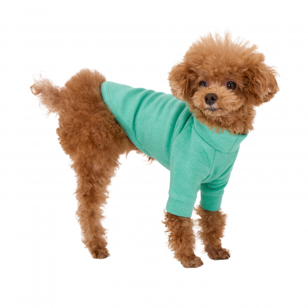 【マンダリンブラザーズ】スキンタイトウォームＴシャツ ミント