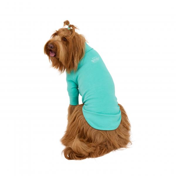 【マンダリンブラザーズ】スキンタイトウォームＴシャツ ミント