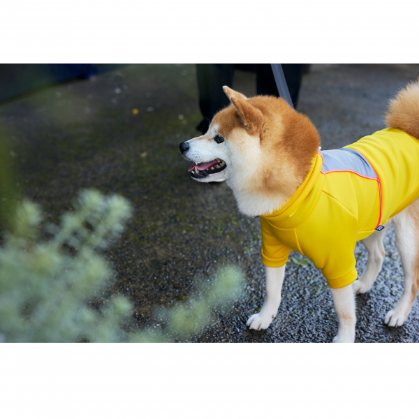 【マンダリンブラザーズ】レインプルーフ プルオーバー 