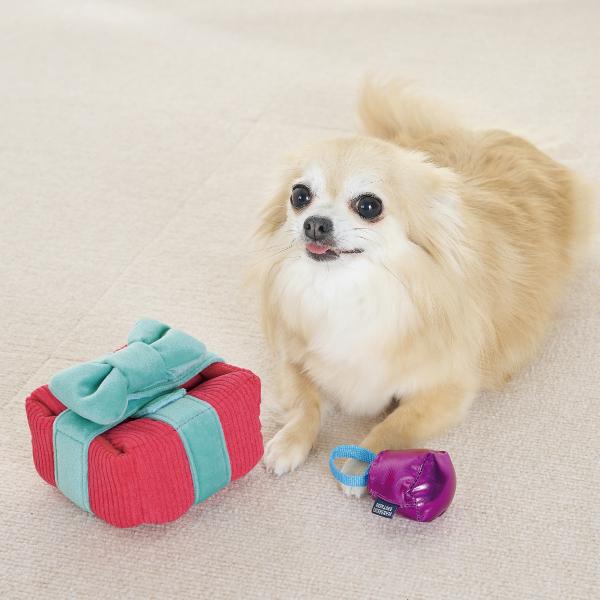 ギフト ボックストイ コーラル