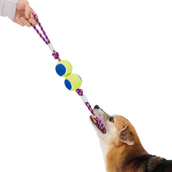 ダイハードトイ 引っ張りっこも楽しい。