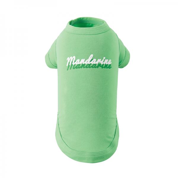 【マンダリンブラザーズ】　シャドウロゴクールTシャツ グリーン