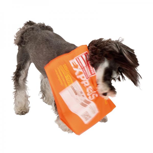 フライング エクスプレス トイ お届けものでーす！