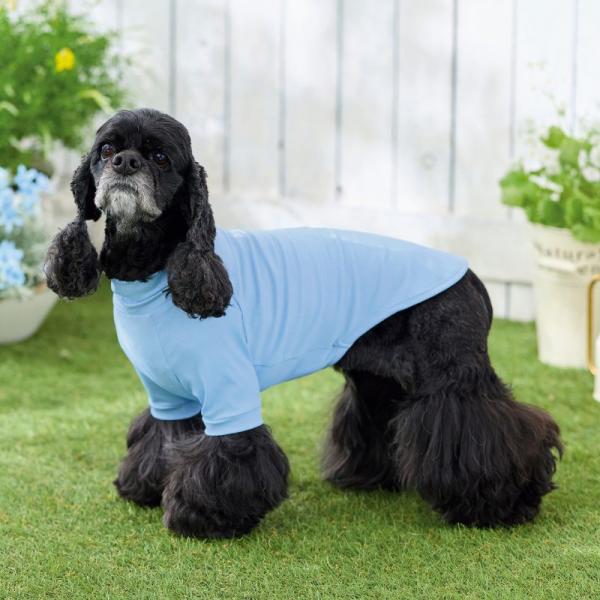 【マンダリンブラザース】インセクトシールドTシャツクール ライトブルー/XLを着用/モデルサイズ：バスト47㎝