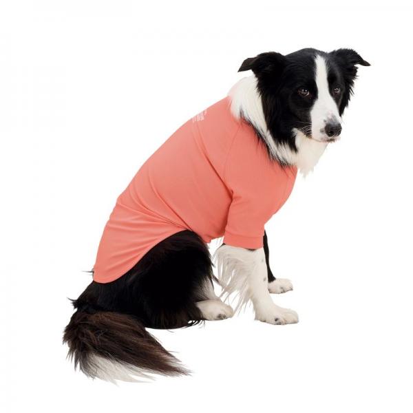 【マンダリンブラザース】インセクトシールドTシャツクール アプリコット/4Lを着用/モデルサイズ：バスト65㎝