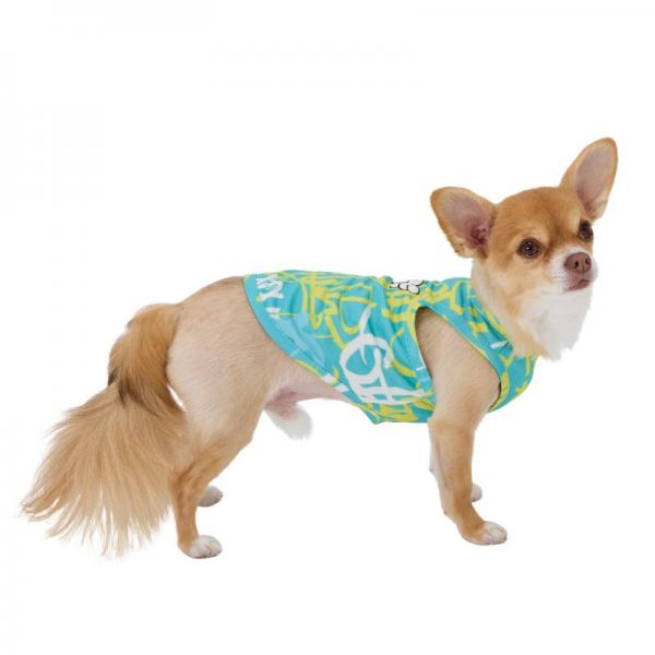 【マンダリンブラザース】クーリングタンク グラフィティ