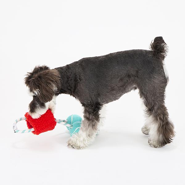 パリパリブースター 持ってこい遊びにも最適