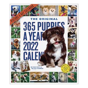 22年版カレンダー特集 わんちゃんカレンダーに毎日癒されよう