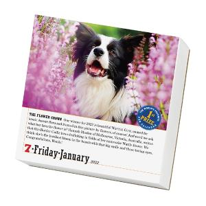 22年版カレンダー特集 わんちゃんカレンダーに毎日癒されよう