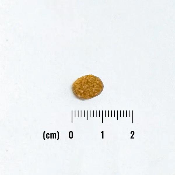 ナチュラルバランス　オリジナルウルトラ　犬用　鶏肉＆大麦　小粒　全年齢用 