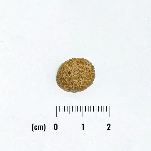 ナチュラルバランス　オリジナルウルトラ　成犬用　チキン＆サーモン低カロリー 