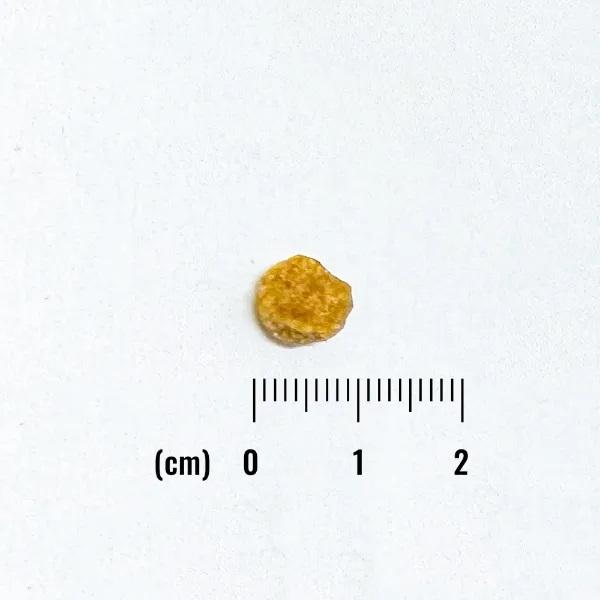 ナチュラルバランス ＬＩＤ 成犬用　ベジタリアンレシピ　小粒 