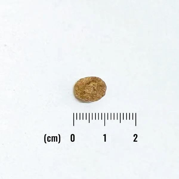 ナチュラルバランス　ＬＩＤ　グレインフリー　成犬サーモン＆スイートポテト小粒 