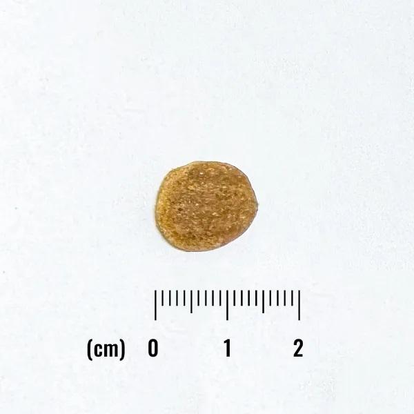 ナチュラルバランス　ＬＩＤ　グレインフリー　成犬用　ダック＆ポテト小粒 