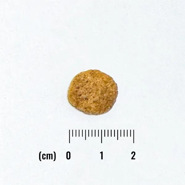 ナチュラルバランス　ＬＩＤ　グレインフリー　成犬用　スイートポテト＆鹿肉 