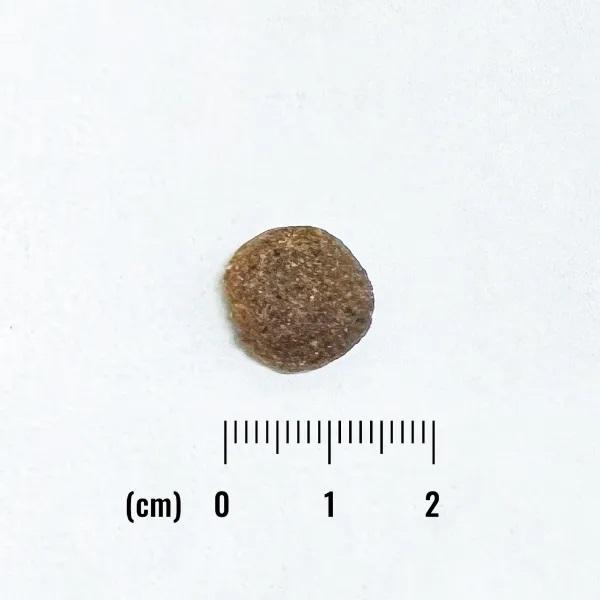 ナチュラルバランスＬＩＤグレインフリー成犬用スイートポテト＆バイソン 