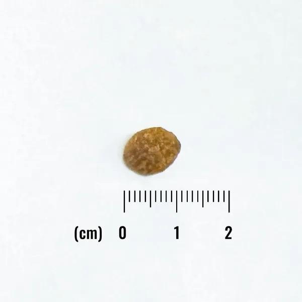 ナチュラルバランス オリジナルウルトラ　猫用　チキン＆サーモン 