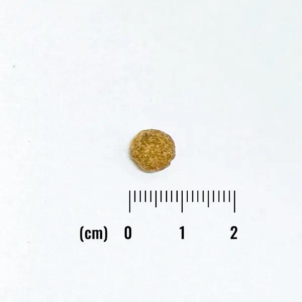 ナチュラルバランス　オリジナルウルトラ　成猫用　チキン＆サーモン　低カロリー 