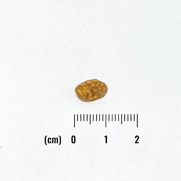 ナチュラルバランス　ＬＩＤ　グレインフリー　成猫用　ダック＆グリーンピース 