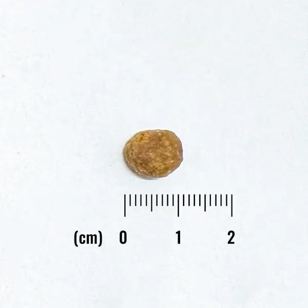 ナチュラルバランス　ＬＩＤ　グレインフリー　成猫用　サーモン＆グリーンピース 