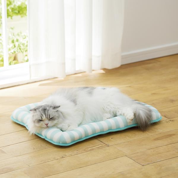 パイルマットクールジェル グリーン／モデル体重：3.7kg