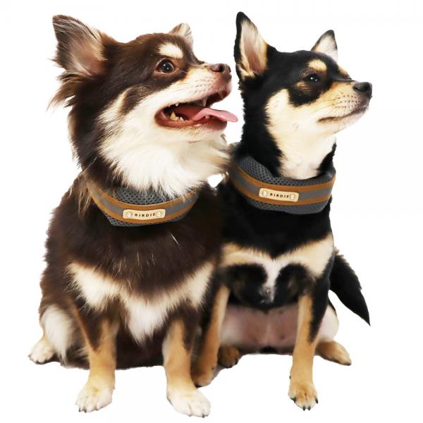 BIRDIE(バーディ) ラッセルクッションカラー グレー