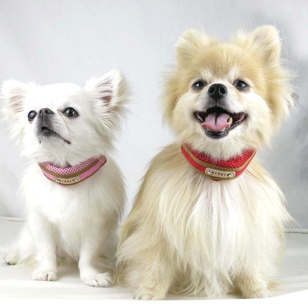 BIRDIE(バーディ) ラッセルクッションカラー ピンク、レッド