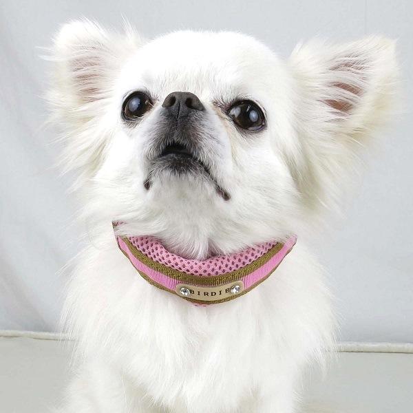 BIRDIE(バーディ) ラッセルクッションカラー ピンク