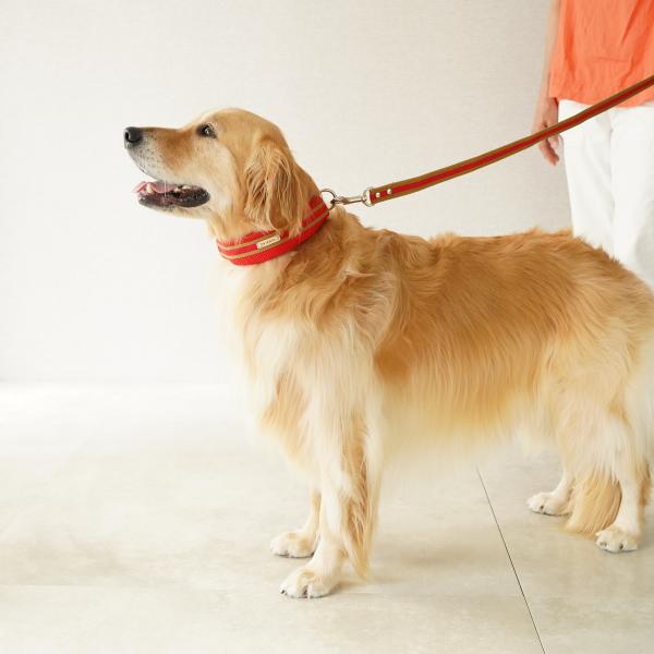 BIRDIE(バーディ) ラッセルクッションカラー レッド ※リードは別売り