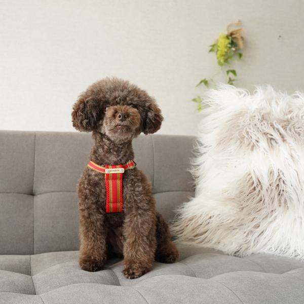 BIRDIE(バーディ) ラッセルクッションハーネス レッド