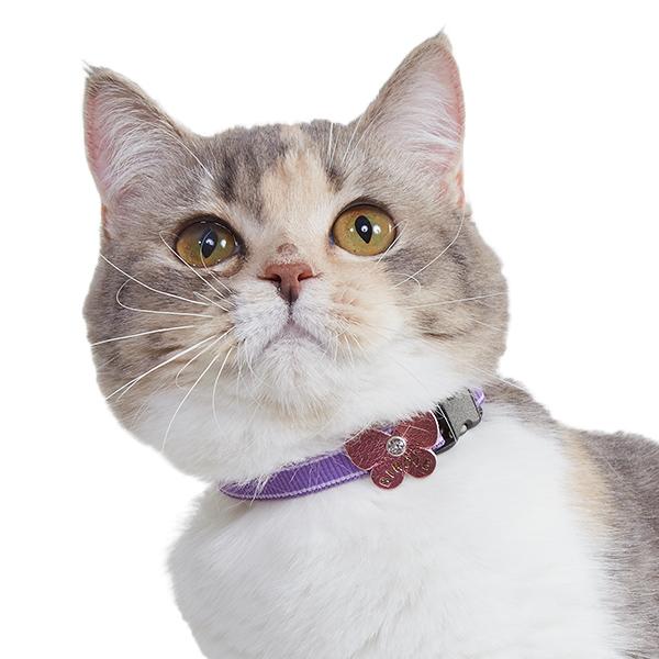 蓄光ライン　キャットカラー パープル