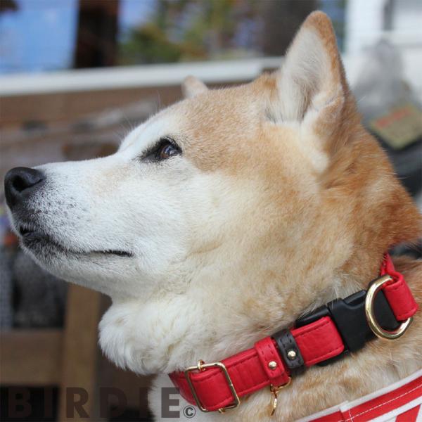 BIRDIE（バーディ）ジェントルレザーカラー レッド