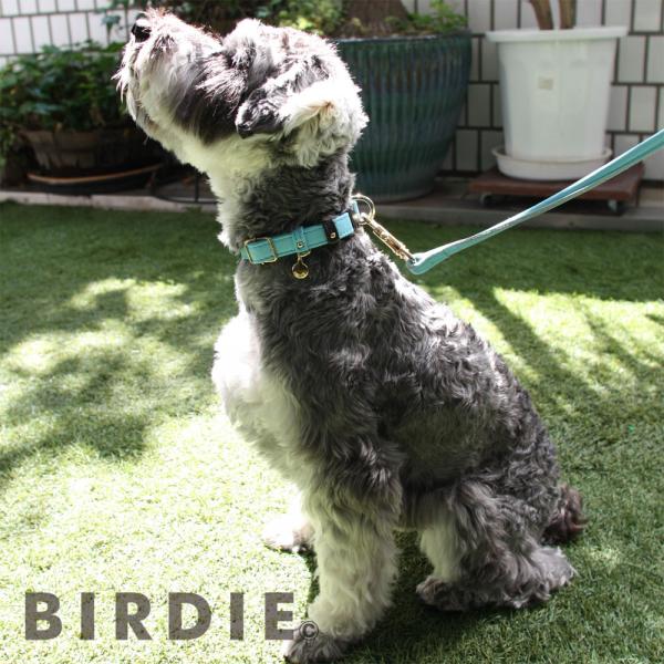 BIRDIE（バーディ）ジェントルレザーカラー サックスブルー