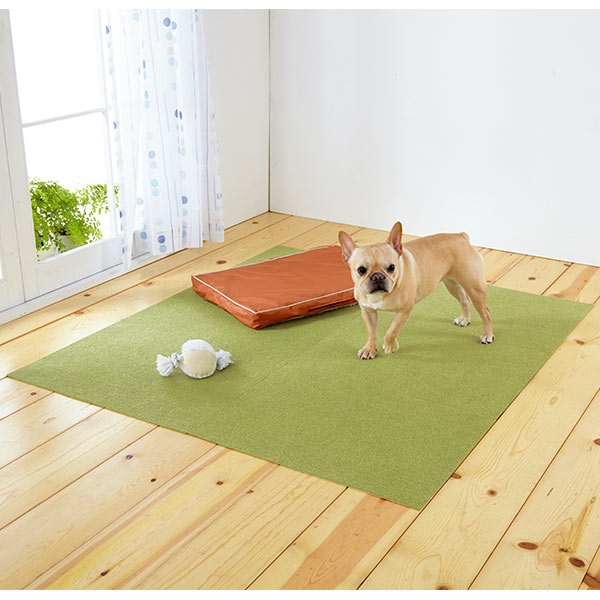 ピタッと吸着タイルマット 大判サイズ(犬 猫 滑り止め） グリーン６枚使用