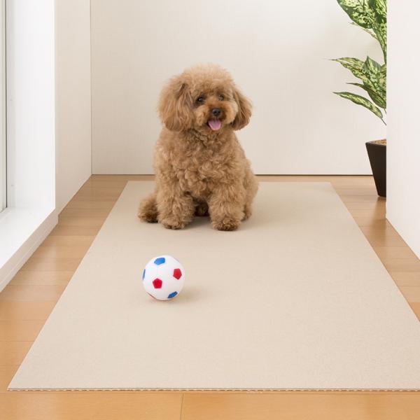 ピタッと吸着お掃除ラクラクマット 