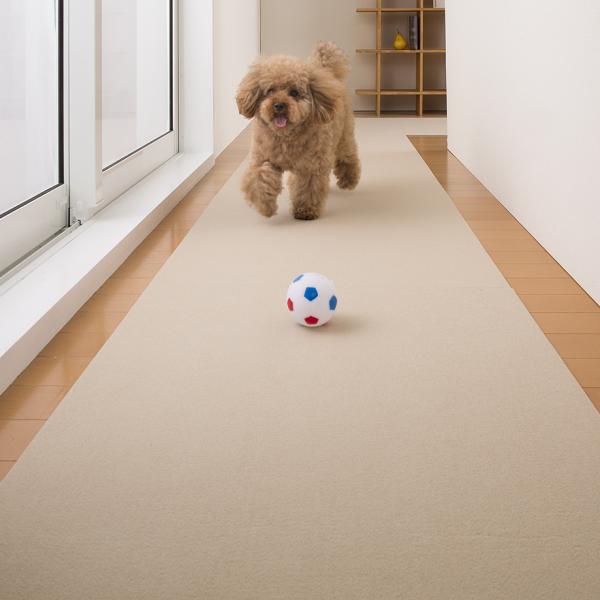 ピタッと吸着お掃除ラクラクマット 