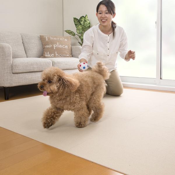 ピタッと吸着お掃除ラクラクマット 