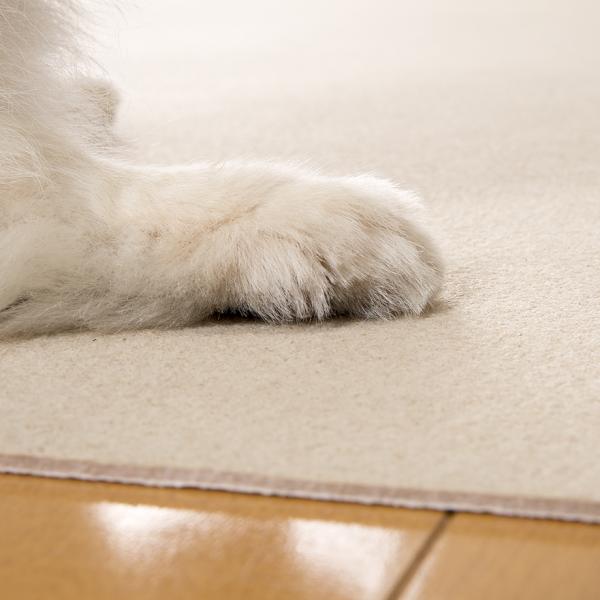 ピタッと吸着お掃除ラクラクマット 