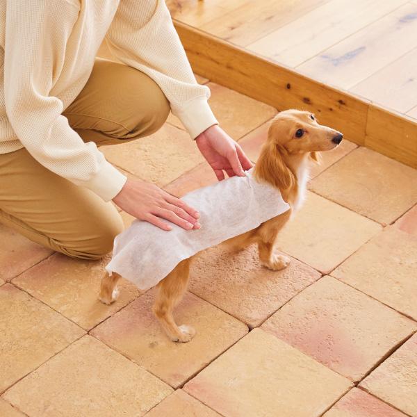 万能ウェットタオル　クリンポイ（ペット用ウェットティッシュ） 