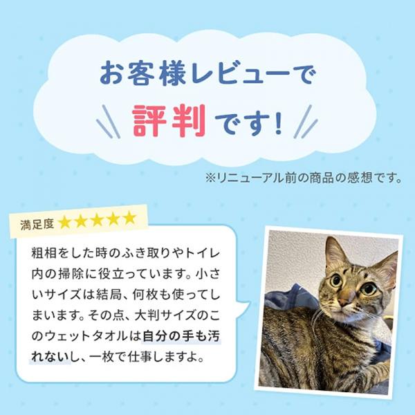 万能ウェットタオル　クリンポイ（ペット用ウェットティッシュ） 