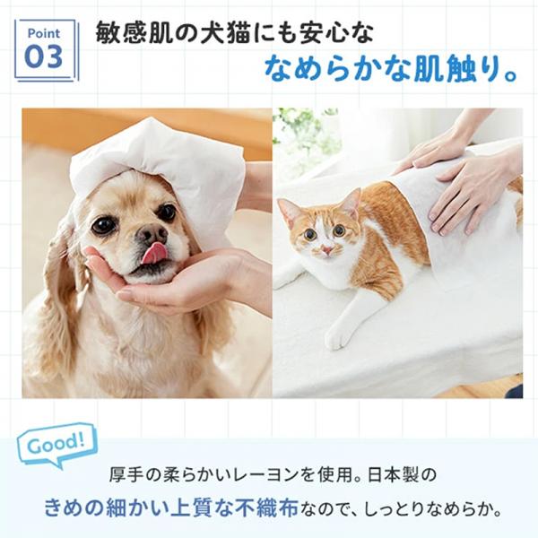 万能ウェットタオル　クリンポイ（ペット用ウェットティッシュ） 