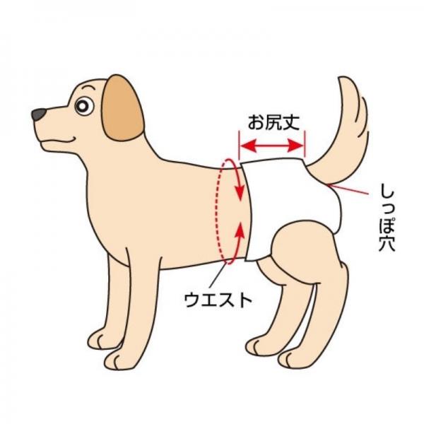 マナーおむつのび～るテープ付き サイズの測り方