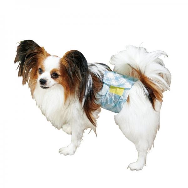 男の子用マナーおむつおしっこ用 28～37cm使用