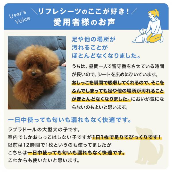 リフレペットシーツ　吸収プレミアム（瞬間吸収 抗菌 ） 