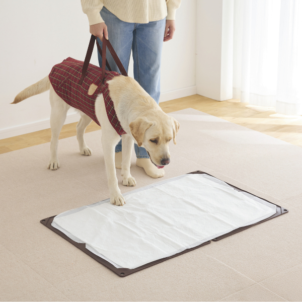 アシスタントバンドリフト(歩行補助ハーネス） 