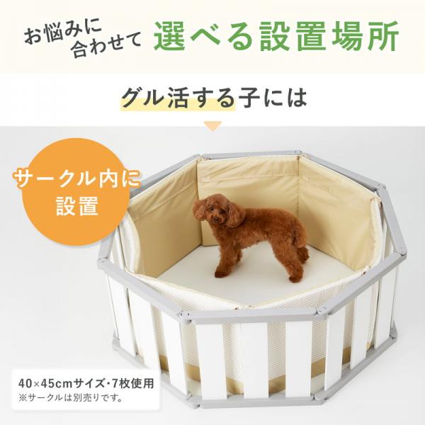 ぶつかりと挟まりを防ぐやわらかクッション（犬の徘徊対策） 