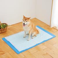 引越しをしてから 室内で排泄をしなくなってしまいました ペット用品の通販サイト ペピイ Peppy