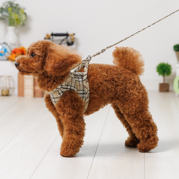 Toto&Pal(トトパル)　ロイヤルタータンチェックリード ベージュ  ※ハーネスは別売りです