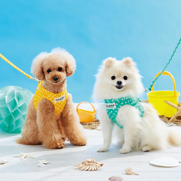 Toto Pal トトパル ドットリード リード ペット用品の通販サイト ペピイ Peppy