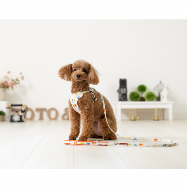 Toto&Pal(トトパル)　ベイビーベアリード ミルク※ハーネスは含まれません。